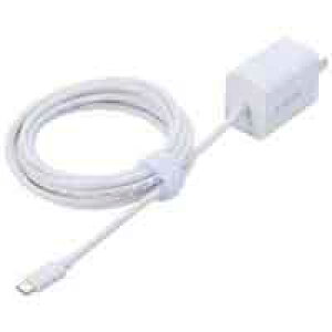 GR Type-C AC[d 20W MPA-ACCP7020WH 4549550307192