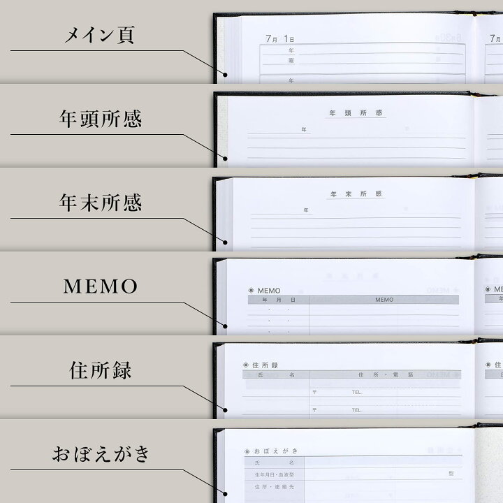 アピカ 日記帳 10年日記 横書き B5 日付け表示あり D313 日本最級