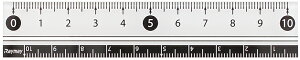 [䂤pPbg/1܂] CC ₷K10cm APJ128W CC 4902562355016