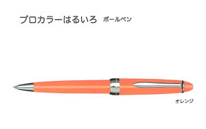 Z[[NM@֐IWi@vJ[͂邢@{[y@IW