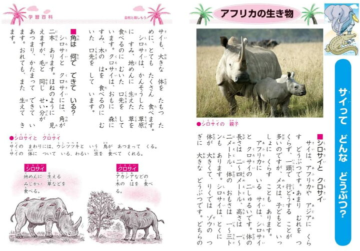 ショウワノート ジャポニカ学習帳 １０マス こくご 字