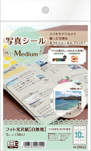 エーワン 写真シールMEDIUM 29622 (納期優先の為単品詰合せの場合が御座います)(500セット)