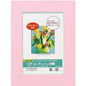 Nakabayashi �i�J�o���V �J���[V�J�b�g�}�b�g�_�C�V�^A6�^�s���N�^V DGVM-A6-P/V