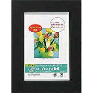Nakabayashi �i�J�o���V �J���[V�J�b�g�}�b�g�_�C�V�^A6�^�u���b�N�^V DGVM-A6-D/V
