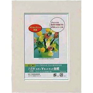 Nakabayashi �i�J�o���V �J���[V�J�b�g�}�b�g�_�C�V�^A6�^�z���C�g�^V DGVM-A6-W/V