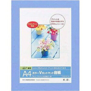 Nakabayashi �i�J�o���V �J���[V�J�b�g�}�b�g�_�C�V�^A4�^�u���[�^V DGVM-A4-B/V