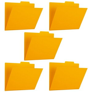 vX PPʃtH_[ FL-161IF CG[ 5 4977564687083