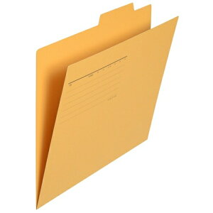 �v���X �ʃt�H���_�[ FL-061IF A4E �� 100�� 2147345082679