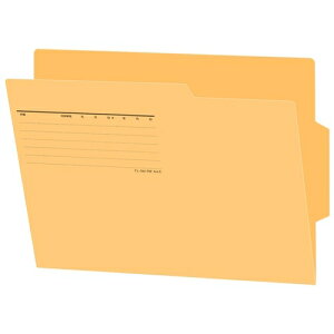�v���X �ʃt�H���_�[���e���� FL-061RIF �� 10�� 2147345084239