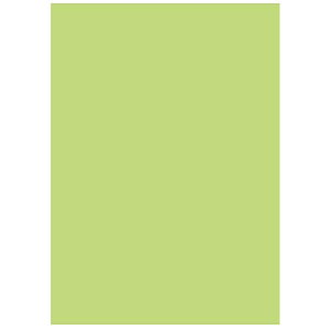 kzR[|[V ItBXpJ[R100 A5O500*10 4515152009116