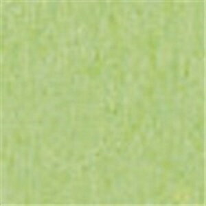 kzR[|[V 悢J[ 8c100  4535449725581