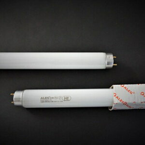 ALEG Hf`ǌu vFHF32EX-NF10{ 4573488110081