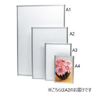 v`iNM plCgGR ALA2-S A2 4977114800238