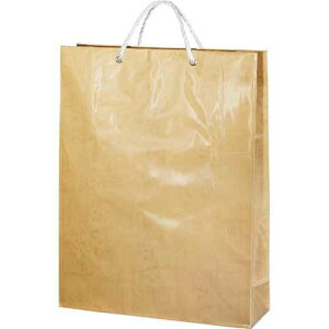 jI  W{obN No-170  4909484001762