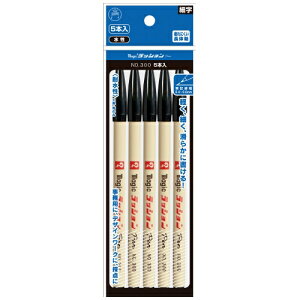 [䂤pPbg/2܂]wH bVy M300-T1-5P  5PpbN 4902071603516