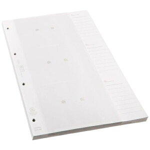 tWJ[ Hʐ^ LXyAĐ500 4977466204326