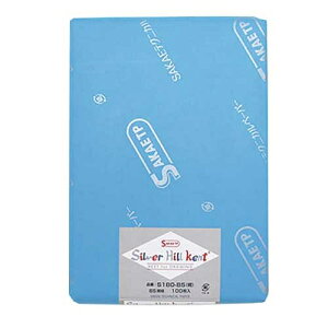 SAKAEeNjJy[p[ Pg S-180-B5(K) 100 2147345058926