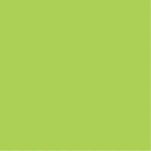 ebN FpR A4 50 ݂ǂ 4905930542124