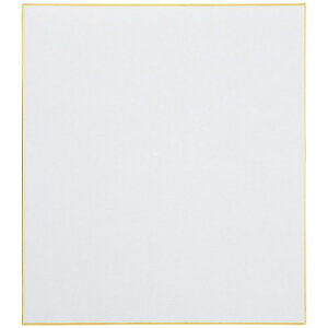 X}[go[ F TCp 100 N101J-S-2P 4547345028239