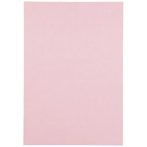 X}[go[ Fp 4c10  P144J-5 4547345031598