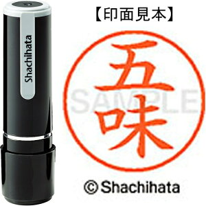 [�䂤�p�P�b�g��/32�܂�]�V���`�n�^ �l�[��9���� XL-9 1096 �ܖ� 4974052124648