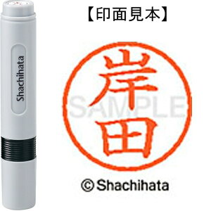 [䂤pPbg/48܂]V`n^ l[6 XL-6 0892 ݓc 4974052419782