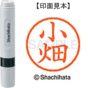 [�䂤�p�P�b�g��/48�܂�]�V���`�n�^ �l�[��6���� XL-6 1062 ���� 4974052422737