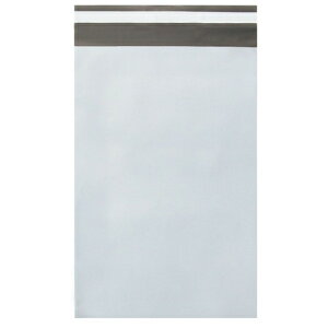 H PEz  100 PE-TS 4957470031606