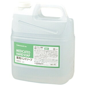 F t@[}ANgt̃nh\[v Ɩp 4L 4513574010536