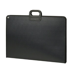 e[W[ fUCP[X A2 DC-780 4904611014851