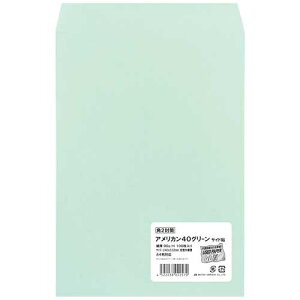 gEjpbN p2AJ40J[O[(90) 100P 4522238022570