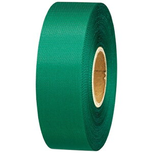 �X�}�[�g�o�����[ �J���[���{���� 24mm*25m 10�� B824J-GR10 4547345039723