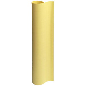 X}[go[ ͑50 CG[ P150J-Y 4547345037835