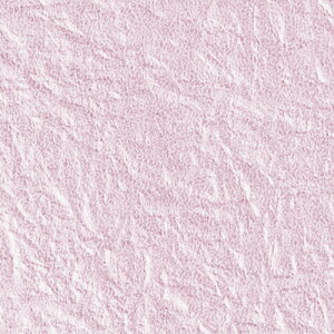 ��� �z�E�\�E�V�p�[������ TH026 4512427058381�i5�Z�b�g�j