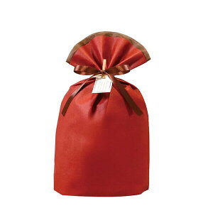 ��� �V�b�NBAG���C�����b�h290 TD031 4512427077931�i5�Z�b�g�j