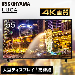 yݒuT[rXΏہz^fBXvC 55^ 4K  n[tOA ˂ጸ Ǌ| ItBX c wZ  55v^ ^j^[ tfBXvC ACXI[} DO-DU554S (HS) *[2506SX]