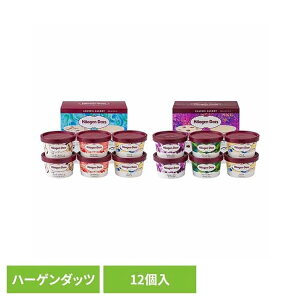 Haagen-Dazs A\[goGeBio[YA\[g×1NVbNA\[g×1j AH-LCAACX n[Q_bc A\[g oj NbL[N[ Xgx[ [Y O[eB n