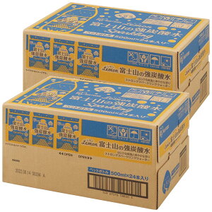 [Aci]Y_ 500ml 48{ (24{×2P[X) Iׂ郉xX Y_ ACXI[}  v[  t[o[ Y VR \[_ J[[  ܂Ƃߔ NX