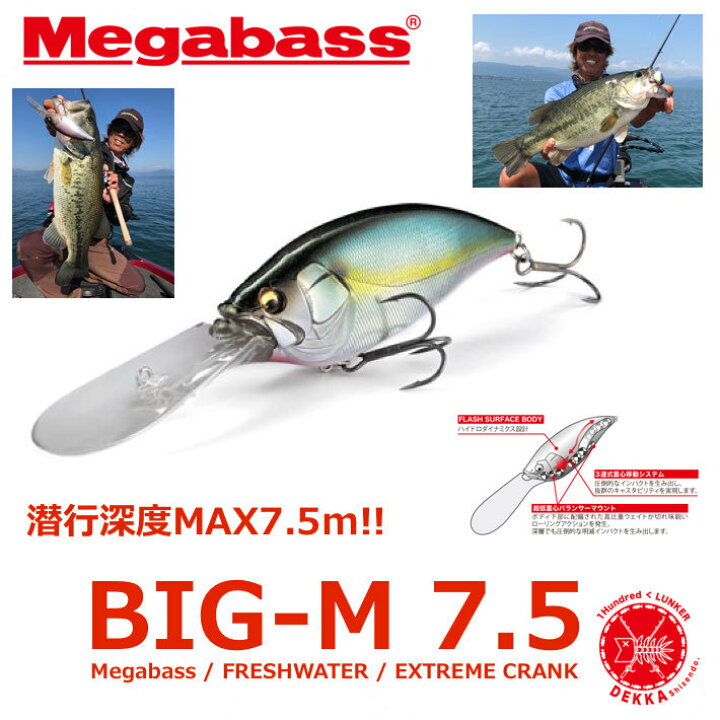楽天市場 Megabass メガバス Big M 7 5 ビッグエム 7 5 ディープクランク サトシン 塾長 佐藤信治 琵琶湖 10xd 山田祐五 キムケン Dekka 自然堂 Shizendo
