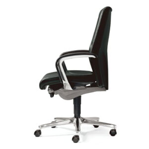 vX WtbNX 64`FA(64-9278RCL)[giroflex 64][ubNF(v)][nCobN][L^It][A~r][IׂLX^[^Cv][󒍐Y][p]֎q]ItBX,SOHO,,c,