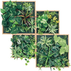 y@llzzxN }OlbgO[ ؖڃ{bNX 4A GM1864 O@FW750×H825×D150mm }OlbgŊȒPt h̓}OlbgV[ggp tFCNO[  l