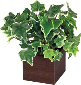 y@llzzxN |bg ~j^Cv GR4386 O@:W200×H200×D250mm |bg:i`F 󒍐Y tFCNO[  lA lHϗtA i