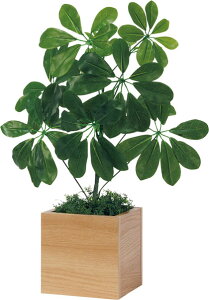 y[J[݌ɂzy@llzzxN |bg L[u^Cv GR4482 O@FW350×H550×D350mm |bg:i`F tFCNO[  lA lHϗtA i