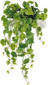 y@llzzxN }OlbgO[ |bg GR4489 O@FW380×H600×D300mm }OlbgŊȒPt h̓}OlbgV[ggp EH[|bg }Olbg|b