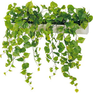 y@llzzxN }OlbgO[ |bg GR4493 O@FW680×H600×D300mm }OlbgŊȒPt h̓}OlbgV[ggp EH[|bg }Olbg|b