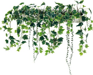 y@llzzxN }OlbgO[ |bg GR4495 O@FW700×H600×D300mm }OlbgŊȒPt h̓}OlbgV[ggp EH[|bg }Olbg|b