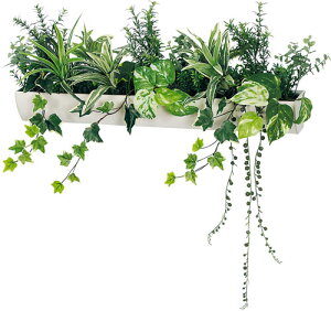 y@llzzxN }OlbgO[ |bg GR4496 O@FW680×H600×D200mm }OlbgŊȒPt h̓}OlbgV[ggp EH[|bg }Olbg|b