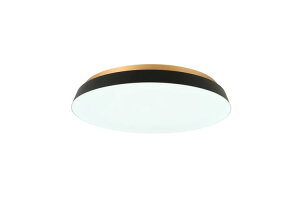 �X�����d�� TAIRA ACE-175 �V�[�����O���C�g 1�� ��500×���s��500×����75mm �I�ׂ�J���[�S2�F ����d��(�ő�):50W �F���x:2,700K�`6500K ������:5600lm 10�i�K�����E���F �A�b�p�[���C�g�E��铔 �v����