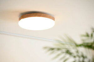 Xd Slimac LEDV[Ot@Cg UZUKAZE 3 EYJ[ 3 FCE-570NA i`F 530×s530×100mm F@\ Cz(6iK) UV-A/G} MatterΉ Rt d:ő58W