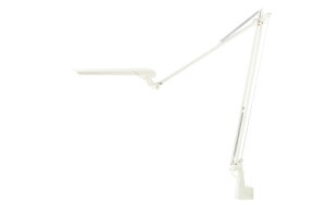 Xd LEDA[Cg[LEDIC EXARM DIVA](fBbNGOU[ fB[@)LEX-996FWH 1yNN^CvzyEF5iK(S25ʂ)zyt`zCgFzyd6.4`1.2Wzyڂ